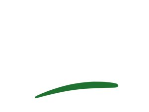 Daum Baumpflege aus Ilsfeld