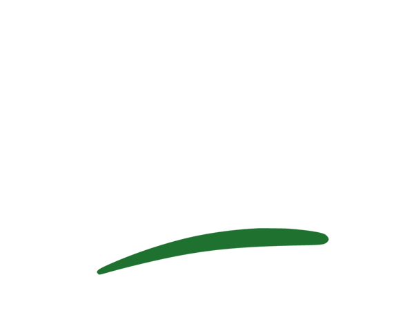 Daum Baumpflege aus Ilsfeld